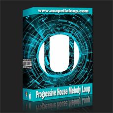 旋律素材/Progressive House Melody Loop